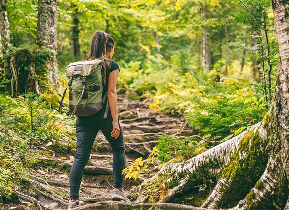 Best Uganda Safaris for Solo Travelers