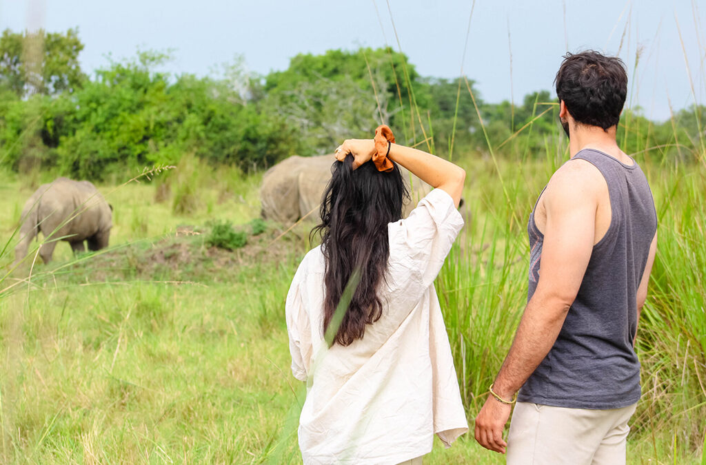 Tips for Planning the Perfect Wildlife Safari in Uganda