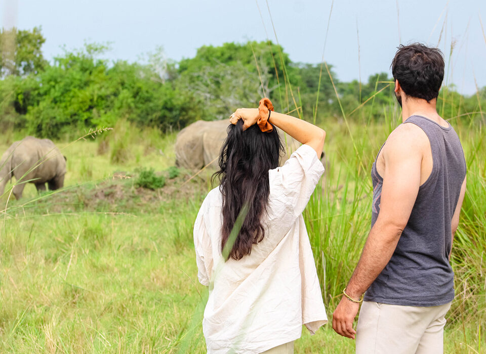 Tips for Planning the Perfect Wildlife Safari in Uganda
