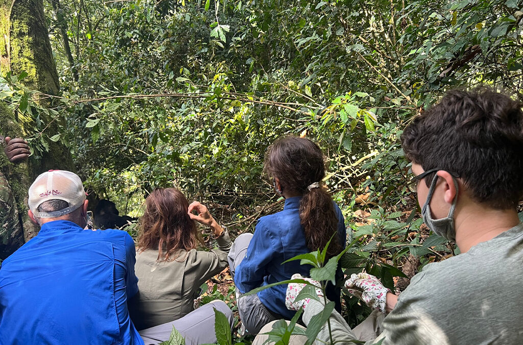 Why Uganda Offers More Than a Classic Safari