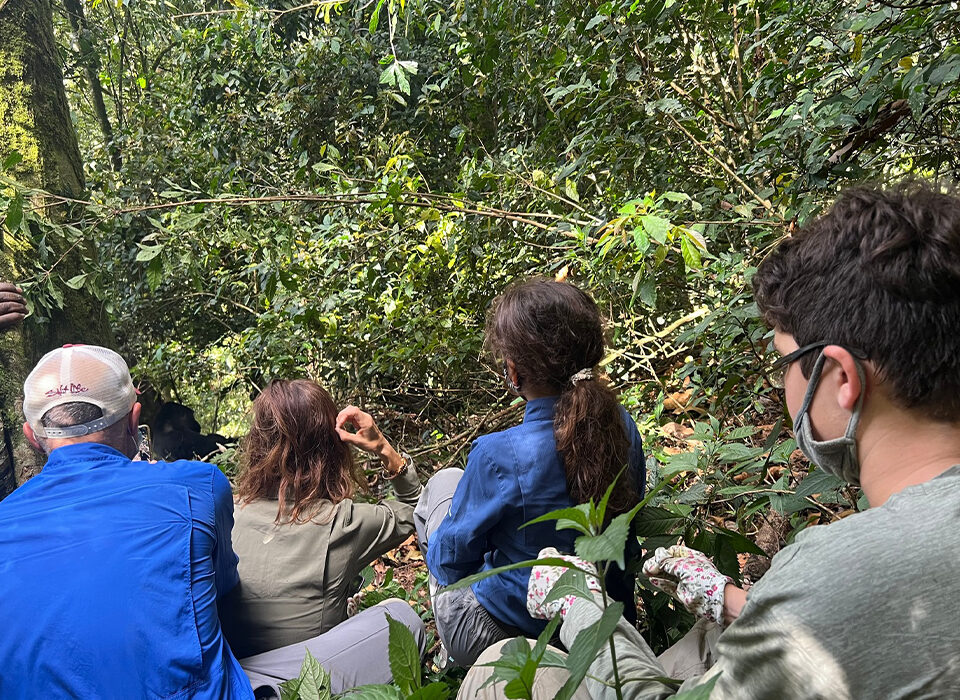 Why Uganda Offers More Than a Classic Safari