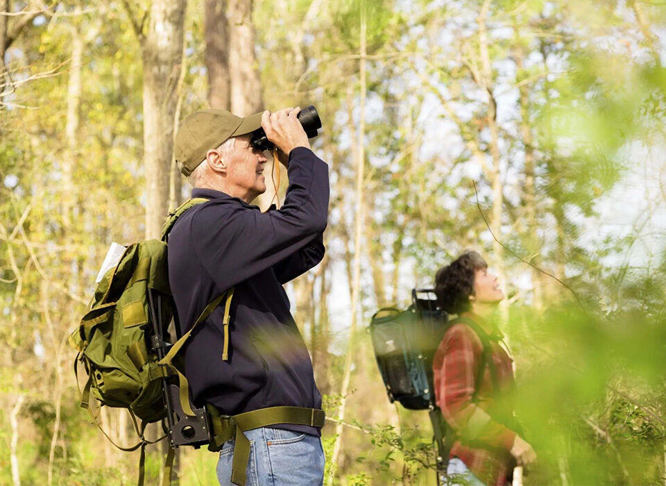 How to Prepare for a Birding Safari in Rwanda