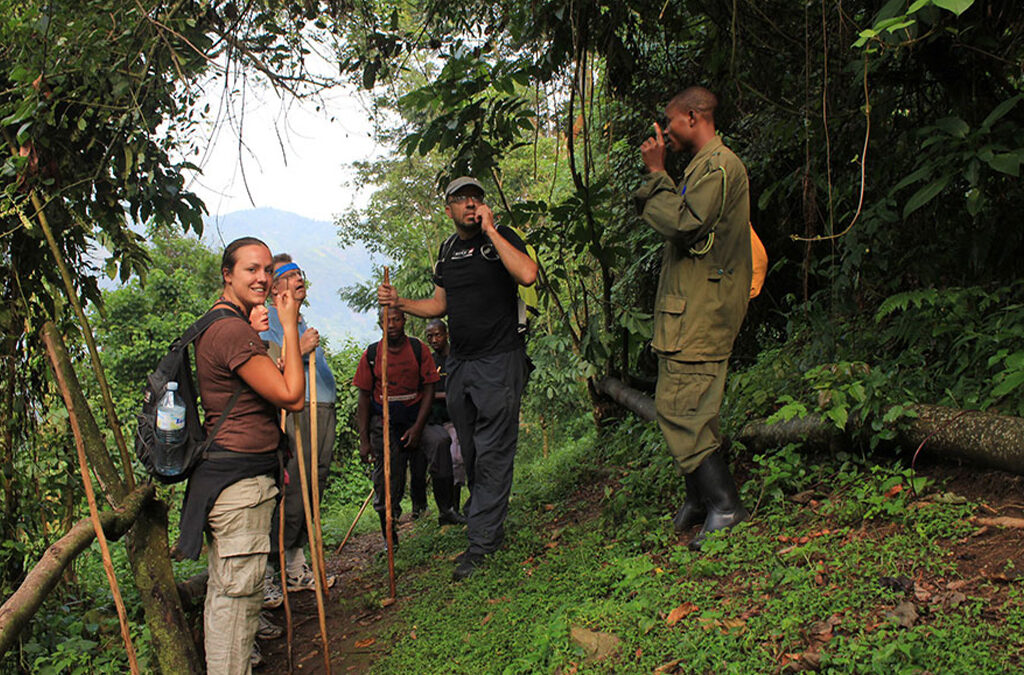 The Best Travel Styles for Each Gorilla Trekking Sector in Bwindi