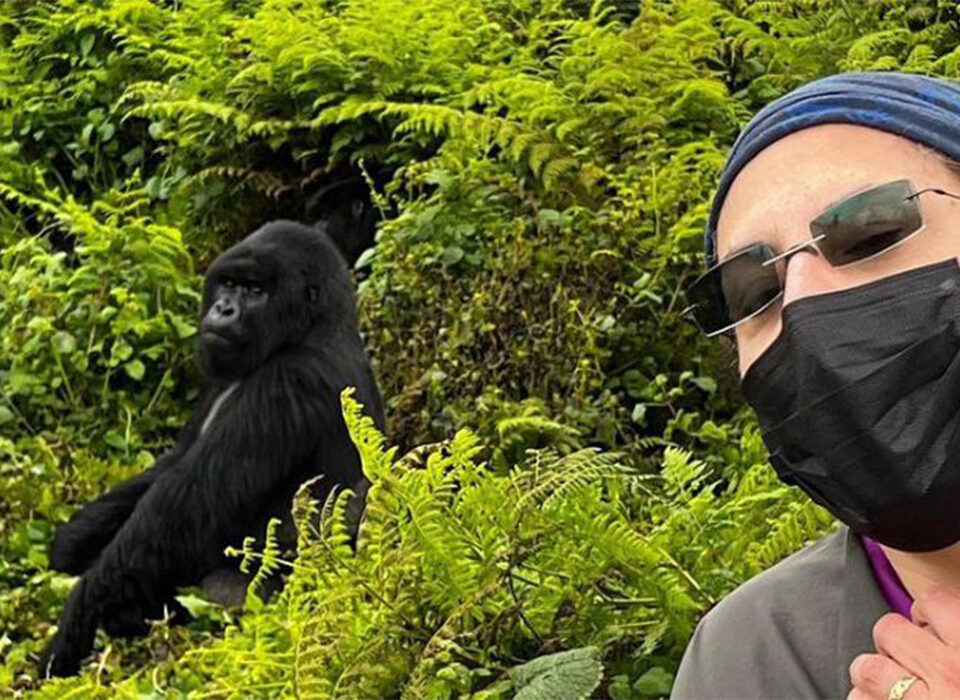 Best 5 Gorilla Trekking Inspirations for First-Timers
