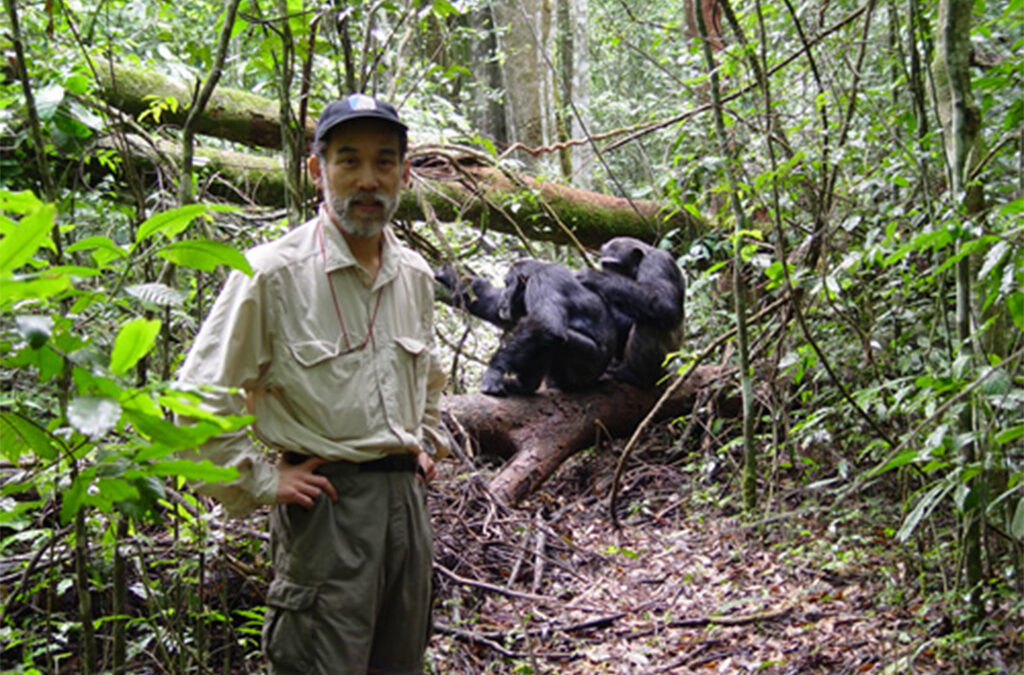 Why Kibale National Park Is the Best Place for Chimpanzee Trekking