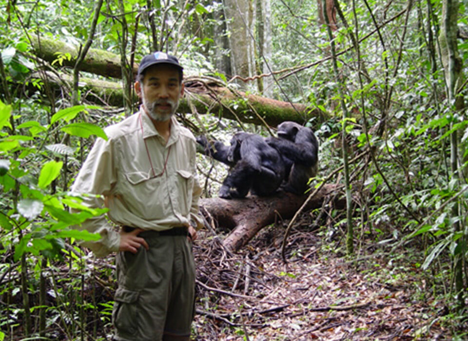 Why Kibale National Park Is the Best Place for Chimpanzee Trekking