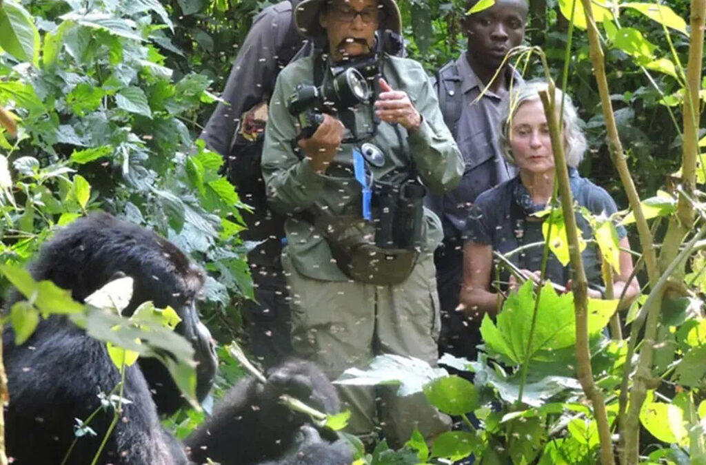 Minimum Age for Gorilla Trekking in Rwanda & Uganda