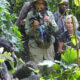 Minimum Age for Gorilla Trekking in Rwanda & Uganda