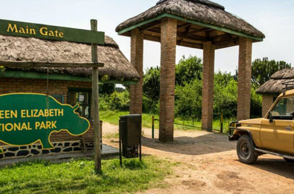 Adding a Safari in Queen Elizabeth National Park to a Gorilla Tour in Uganda