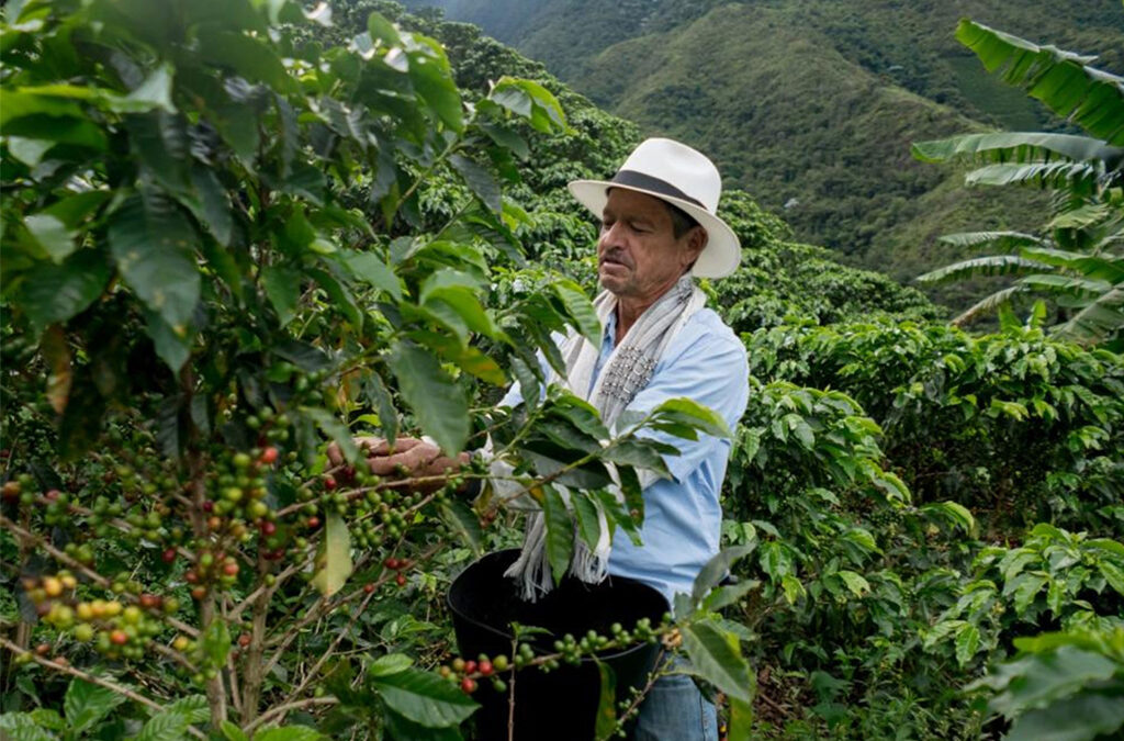 Discovering the Coffee Culture in Rwanda