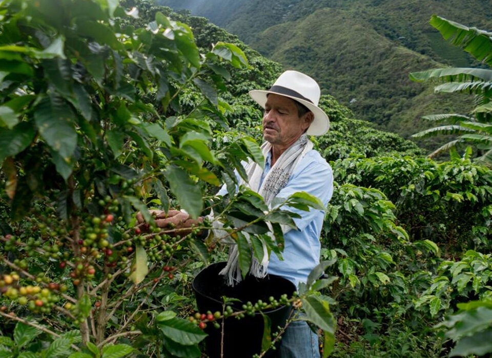 Discovering the Coffee Culture in Rwanda