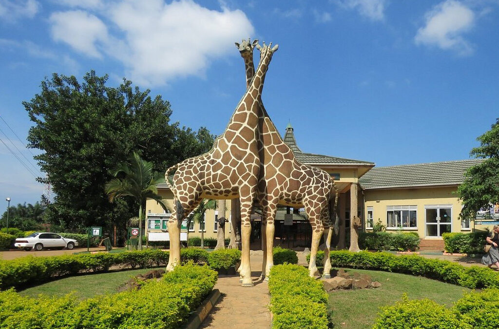 Top 5 Places to Visit in Entebbe, Uganda