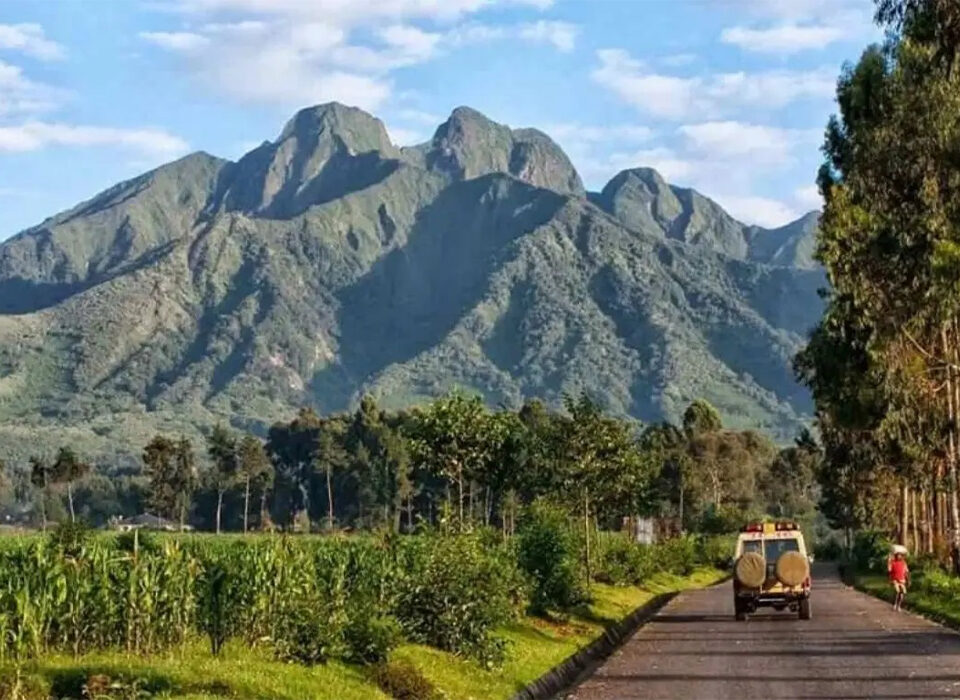 Best Time to Visit Rwanda for a Safari Holiday