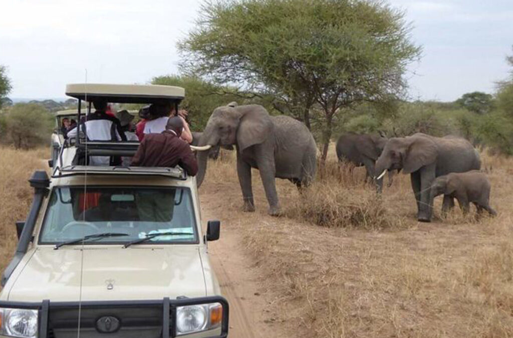 Conservation Safaris in Uganda with Experiya Tour Company