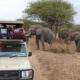 Conservation Safaris in Uganda with Experiya Tour Company