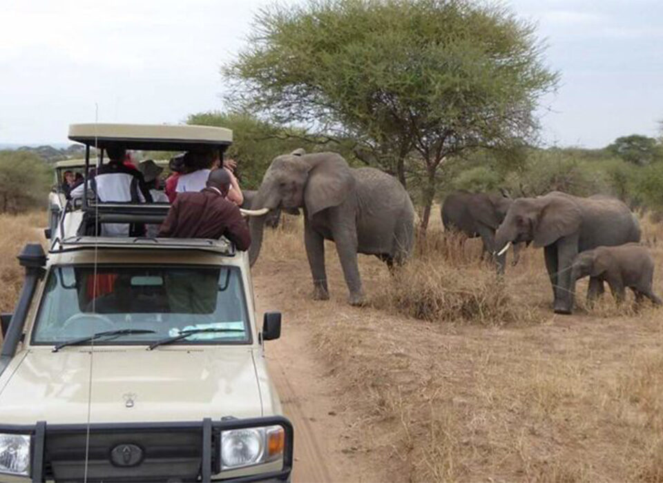 Conservation Safaris in Uganda with Experiya Tour Company