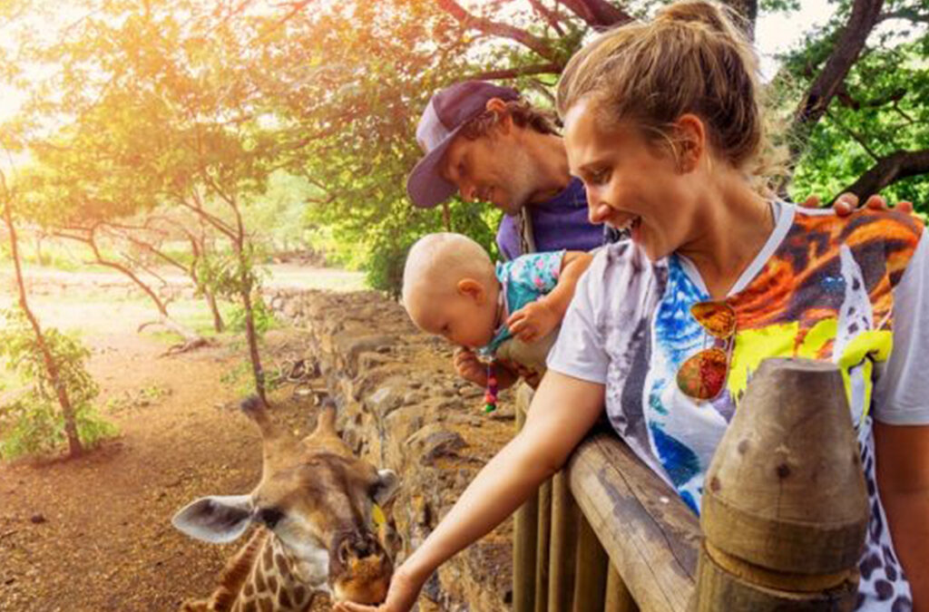 Why Choose Family-Friendly Trips in Rwanda