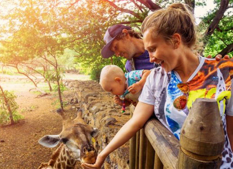 Why Choose Family-Friendly Trips in Rwanda