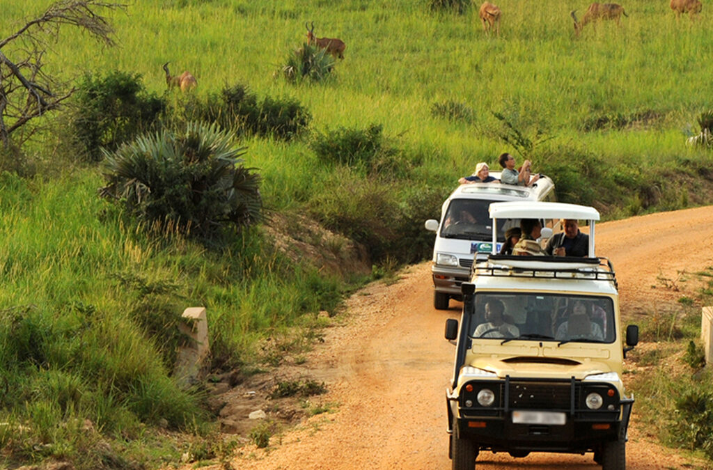 Are Park Entry Fees Included in the Game Drive Cost?