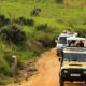 Are Park Entry Fees Included in the Game Drive Cost?
