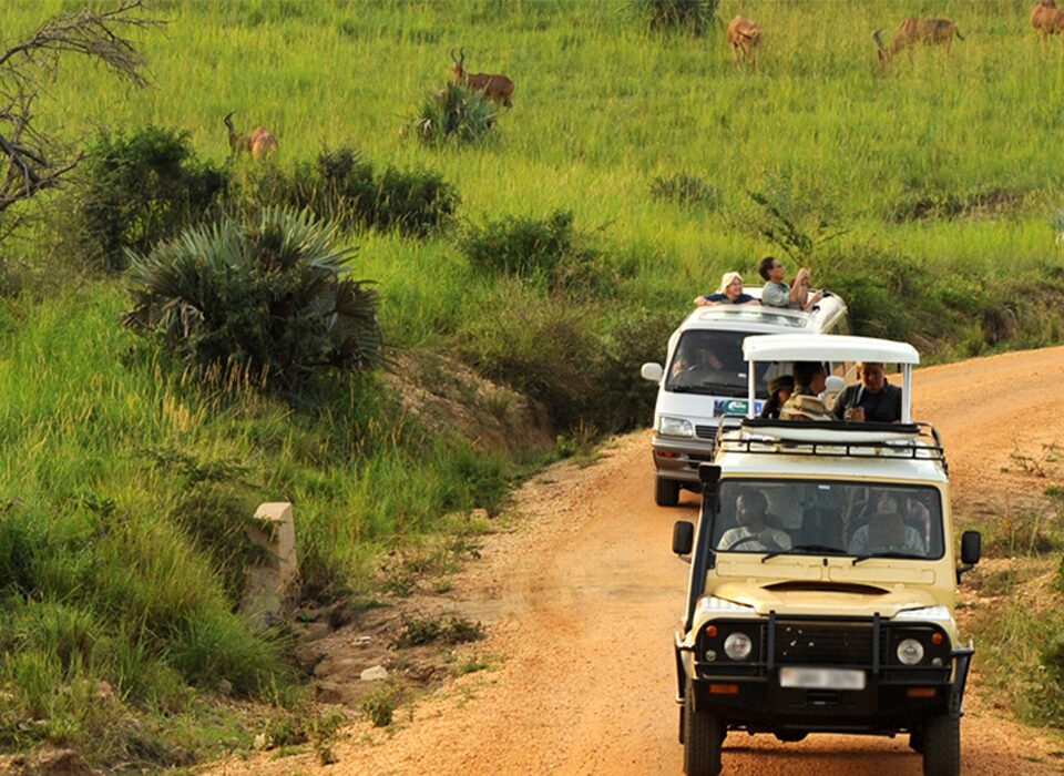 Are Park Entry Fees Included in the Game Drive Cost?