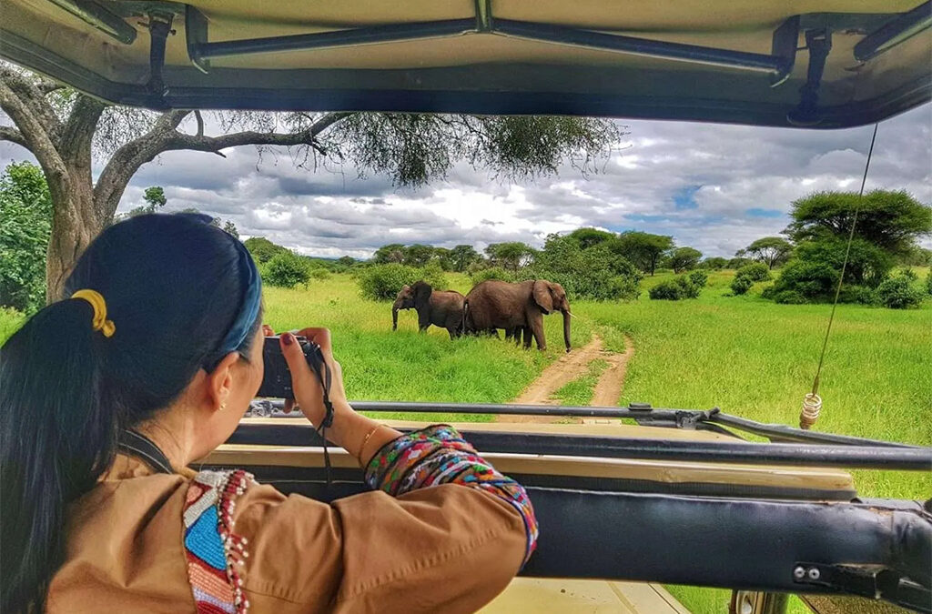Combining the Big Five Safari with Gorilla Habituation in Uganda