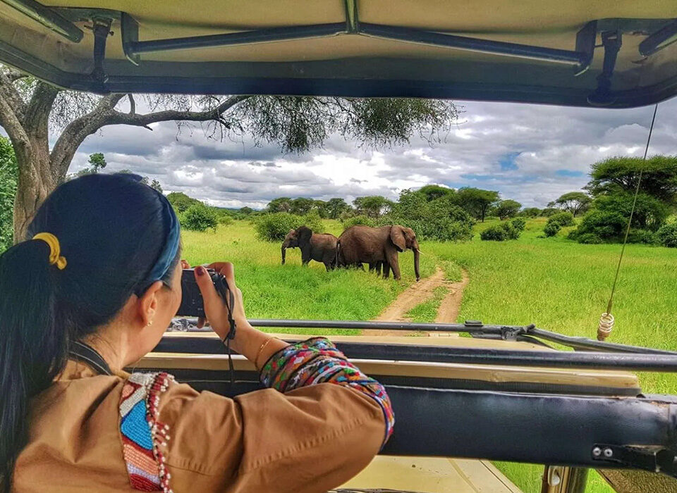 Combining the Big Five Safari with Gorilla Habituation in Uganda