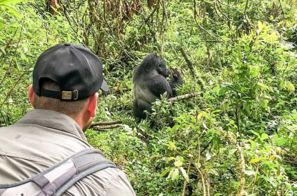 Uganda Gorilla Trekking Holidays