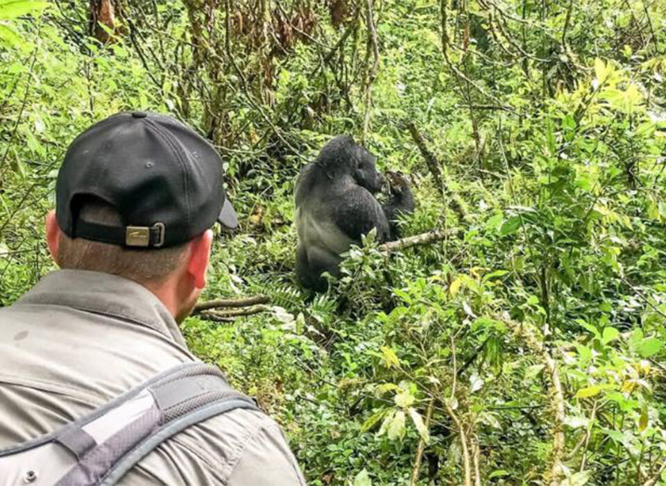 Uganda Gorilla Trekking Holidays