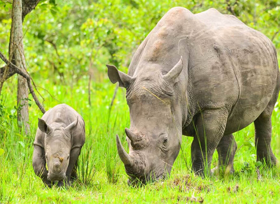 What Are the Five Types of Tourist Attractions in Uganda?