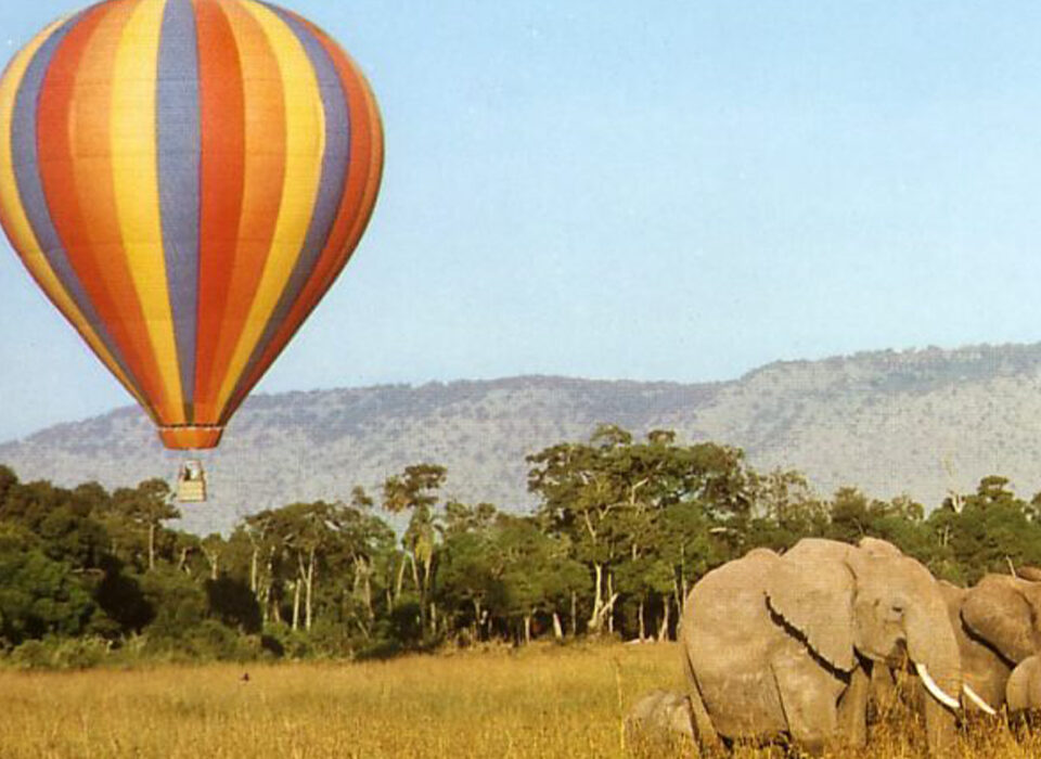 Experience a Hot Air Balloon Safari in Murchison Falls National Park