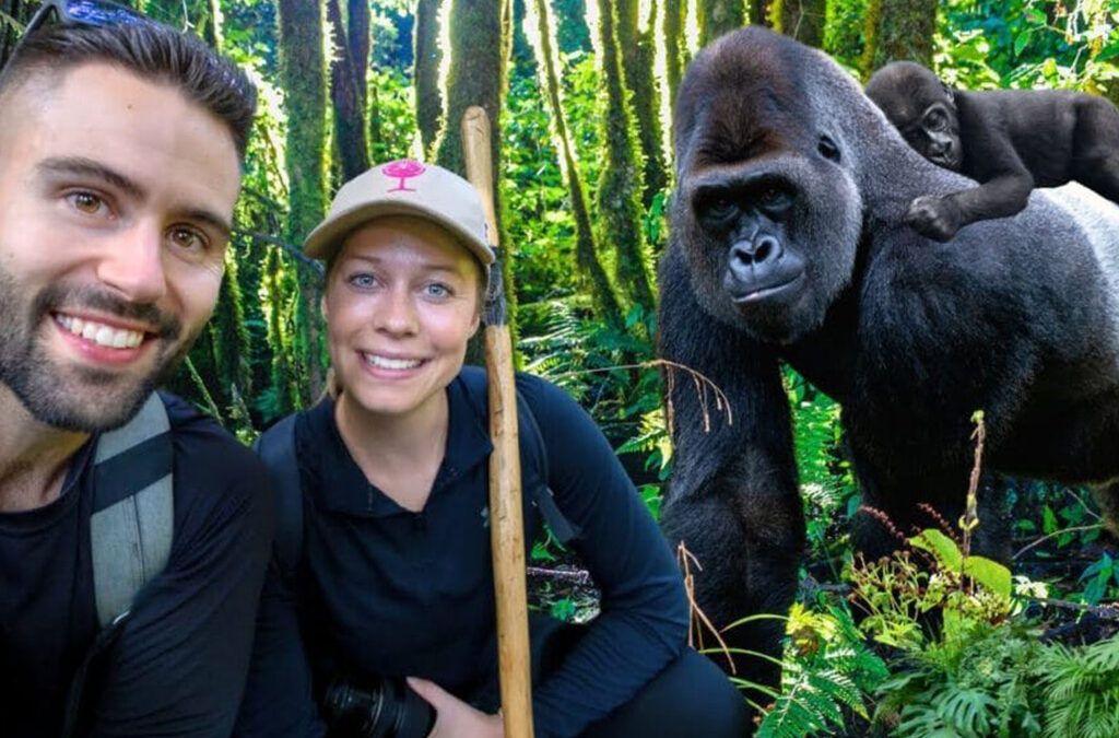 Disease Risks Between Humans and Primates