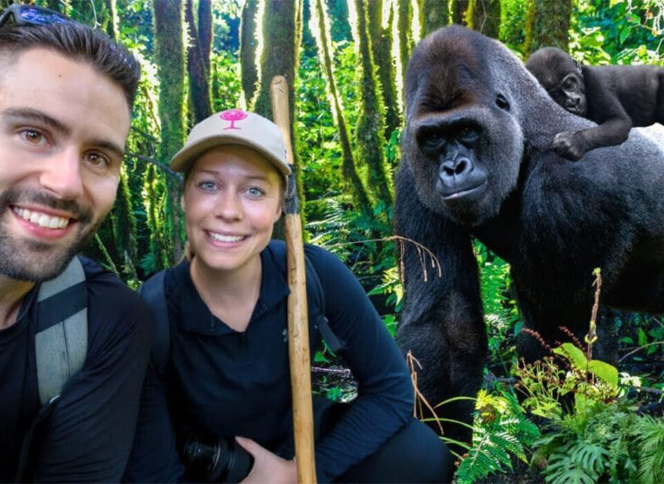 Disease Risks Between Humans and Primates