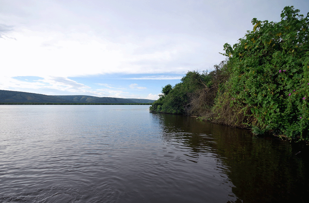 cycling safari lake mburo