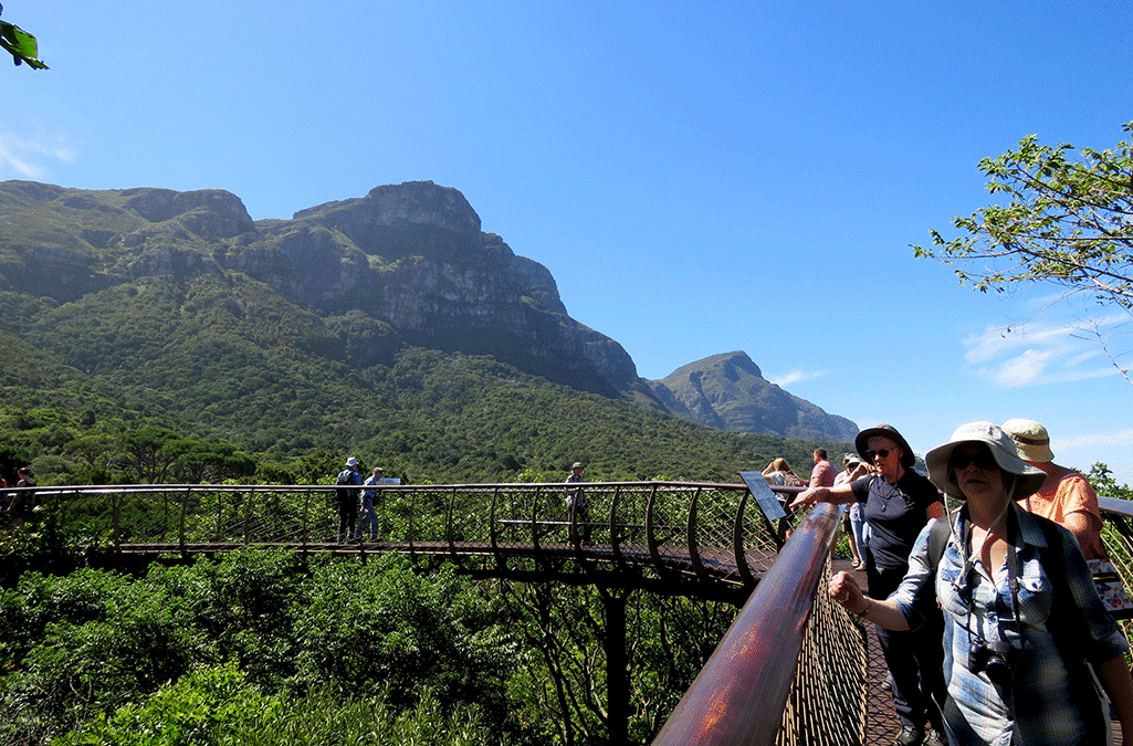 nyugwe canopy experience