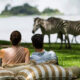 What Does a Private Safari Really Mean in 2026?