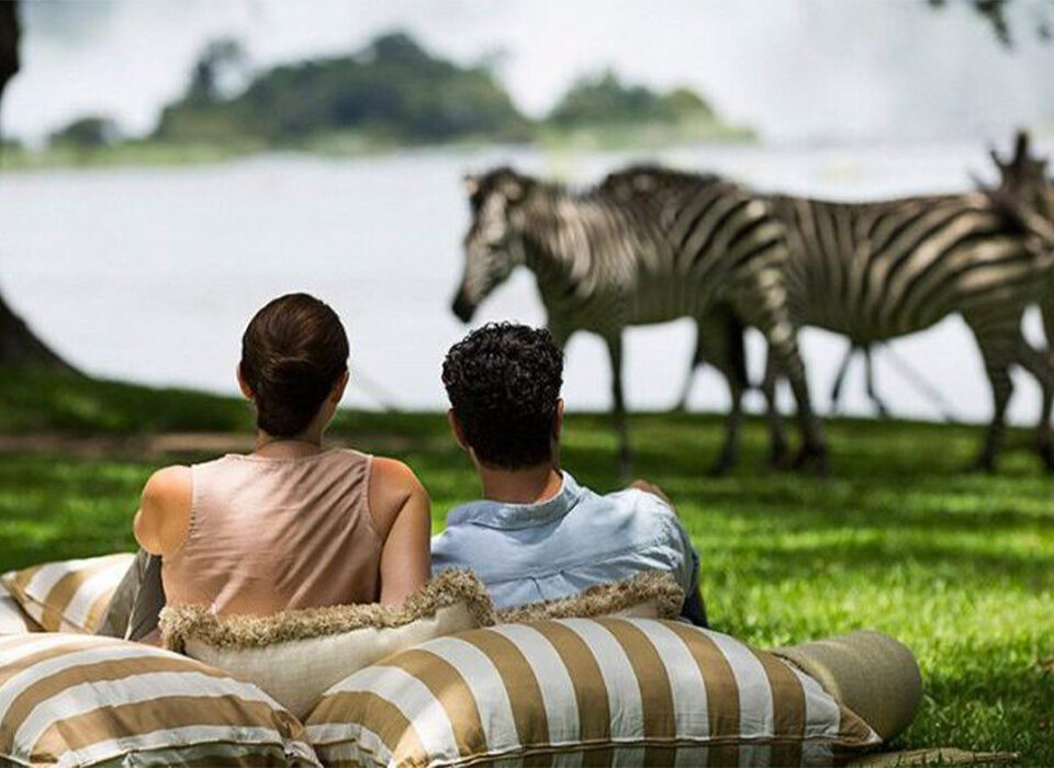 What Does a Private Safari Really Mean in 2026?