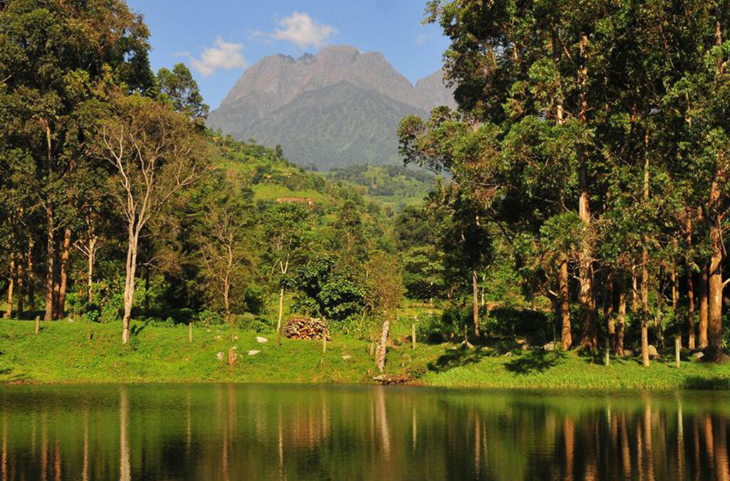 Can Rain Affect Your Safari? Here’s What You Need to Know