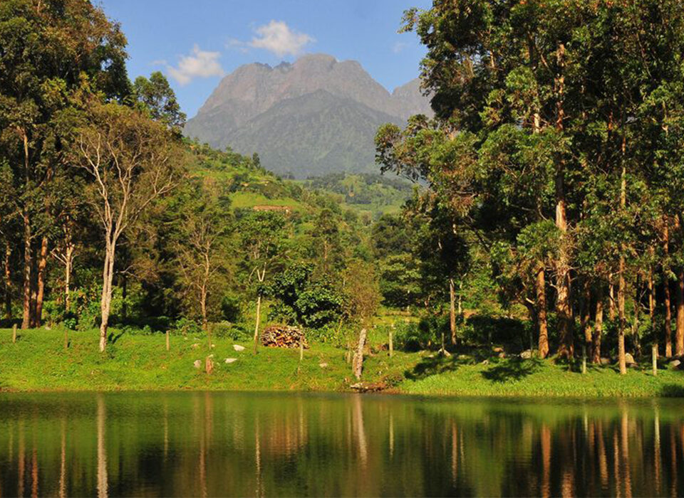 Can Rain Affect Your Safari? Here’s What You Need to Know