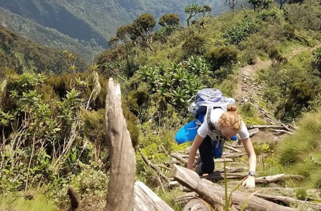 Hiking Mount Sabinyo: A Volcanic Adventure