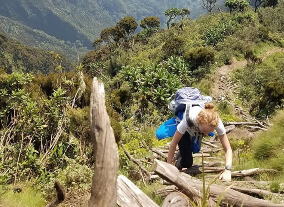 Hiking Mount Sabinyo: A Volcanic Adventure