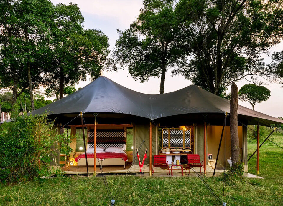 Safari Camping vs Lodge Stays: Why Both Offer Unique Wildlife Access