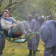 Using a Stretcher on a Gorilla Trek in Volcanoes National Park