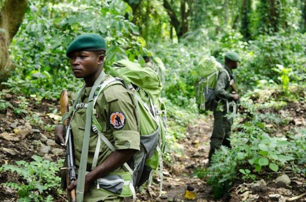How Safe Is Virunga National Park For Travel Destination in 2026?