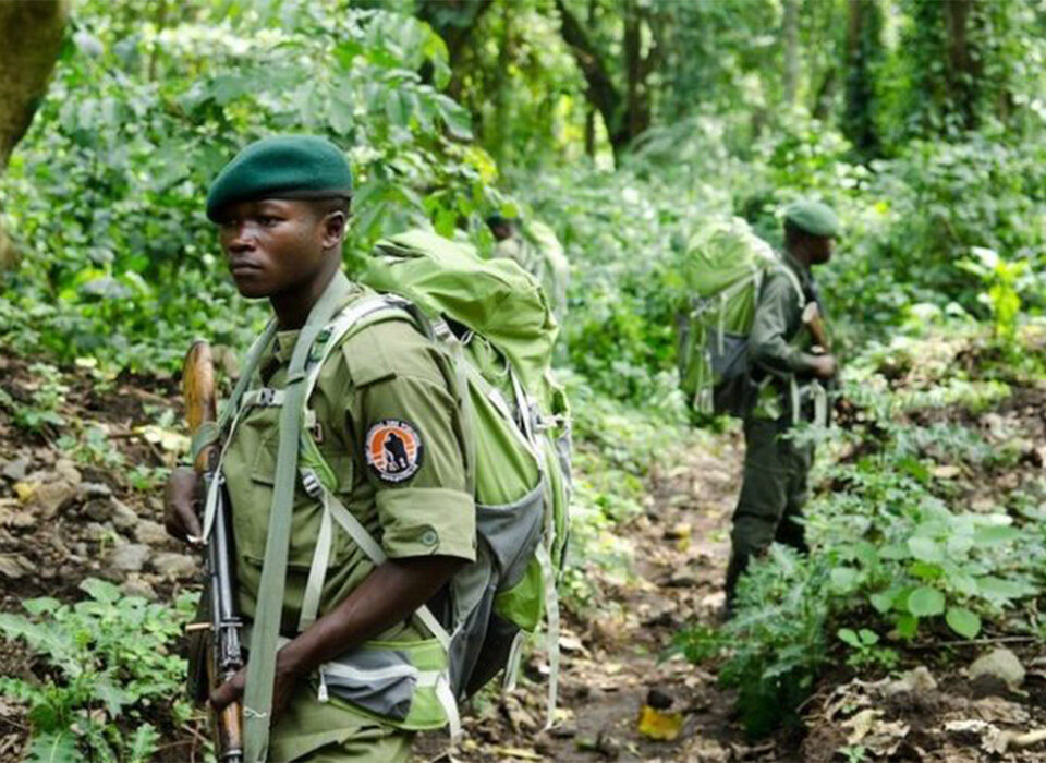 How Safe Is Virunga National Park For Travel Destination in 2026?