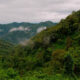 Climate of Bwindi National Park
