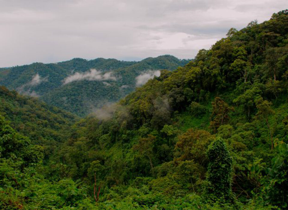 Climate of Bwindi National Park