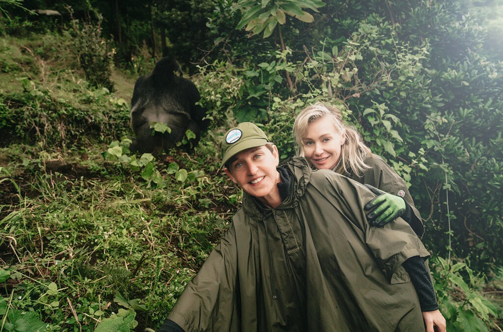 How Many Tourists Visit Gorillas Each Day?