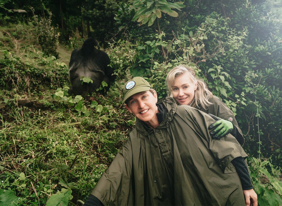How Many Tourists Visit Gorillas Each Day?