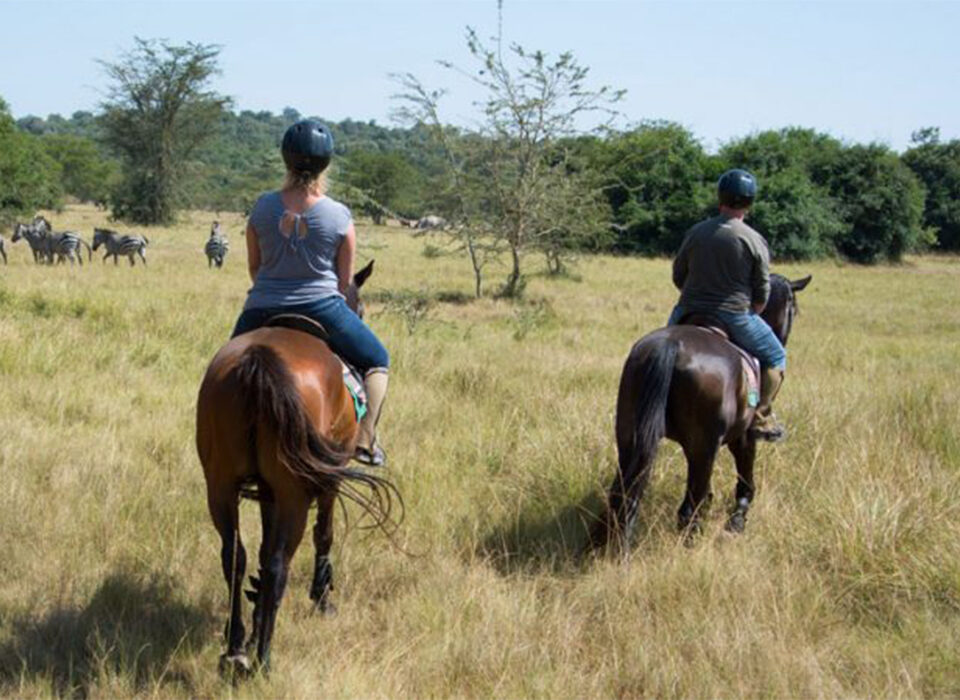 Top 10 Uganda Safari Activities Suitable for Family Trips